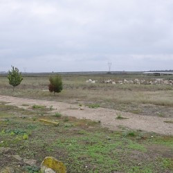 Pella, Agora