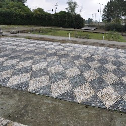 Pella, Aristocratic house, Mosaic