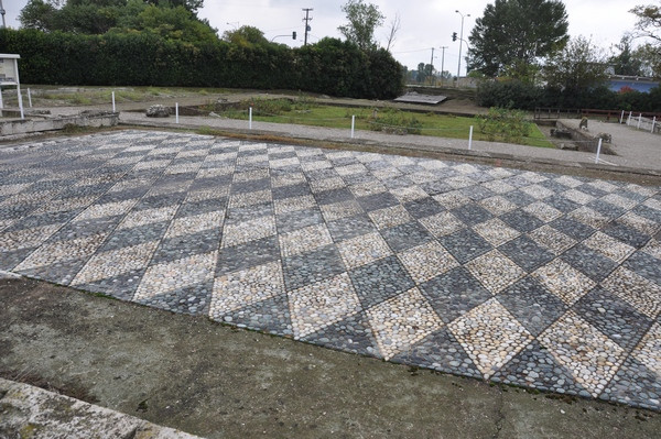 Pella, Aristocratic house, Mosaic