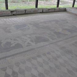 Pella, House of the Abduction of Helen, Main mosaic