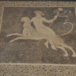 Pella, House of Dionysus, Mosaic of Dionysus on a panther