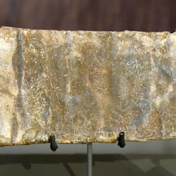 Bodegraven, Curse tablet