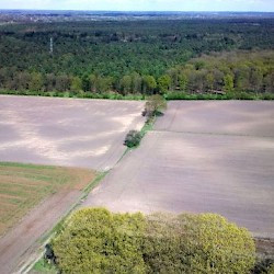 Wekerom, Celtic Field