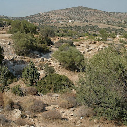 Laurion