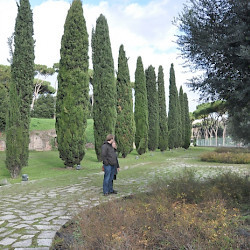 Rome, Site of the Septizodium