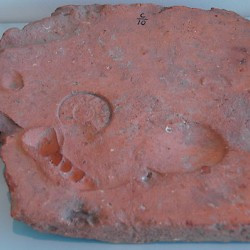 Berg en Dal, Pottery factory, Tile