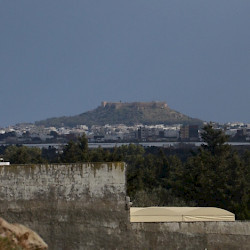Clupea, General view