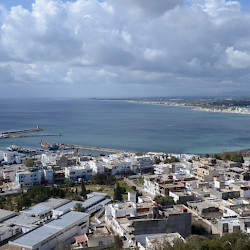 Clupea, Southern harbor