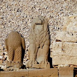 Nemrud Daği, Western terrace, Headless eagle and lion