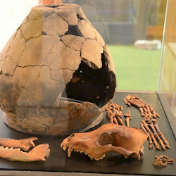 Englum, Tomb of a dog