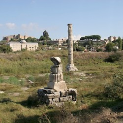 Ephesus, Remains of the Artemision