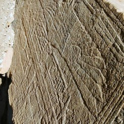 Siwa, Temple of Nectanebo, Relief