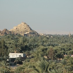 Siwa, General view of the oasis, with a shali