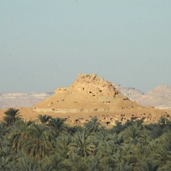 Siwa, A shali fort