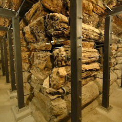 Gordium, Great Tumulus, Chamber