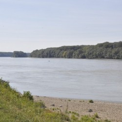 The Danube near Carnuntum