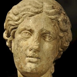 Belgrade, Venus