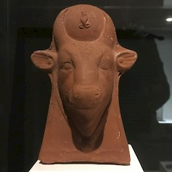 Head of an Apis bull