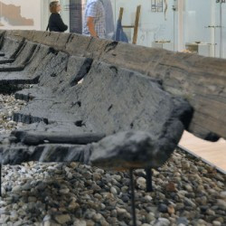 Remains of the Zwammerdam 3