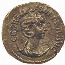 Cornelia Superia