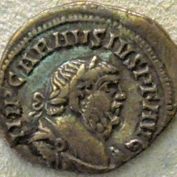 Carausius