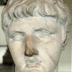 Drusus