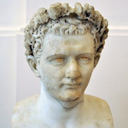 Domitian, Young