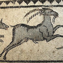 Halicarnassus, Mosaic of a hunt