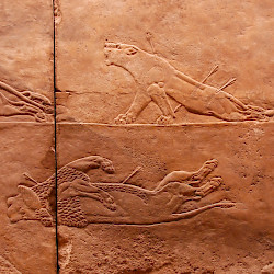 Nineveh, Palace of Aššurbanipal, Aššurbanipal's Lion Hunt