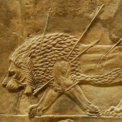 Nineveh, Palace of Aššurbanipal, Aššurbanipal's Lion Hunt