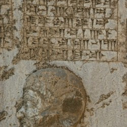 Behistun, Darius' relief, Arakha