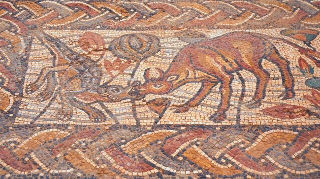 Qasr Libya, East church, Annex mosaic, Center, left