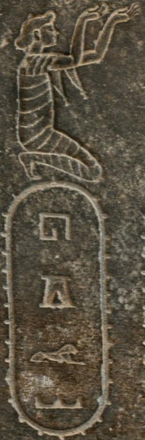 Susa, Statue of Darius, Subject Hgr (Hegra, i.e., Arabia)
