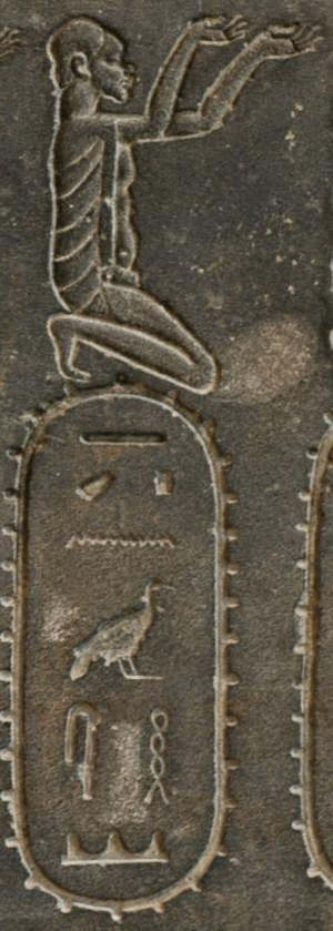 Susa, Statue of Darius, Subject t3 nhsy (Kush)