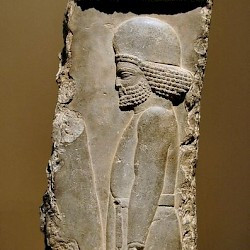 Persepolis, Palace of Darius, Relief of a Mede
