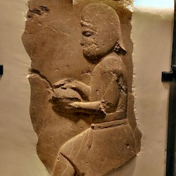 Persepolis, Palace of Darius, Relief of a servant bringing food