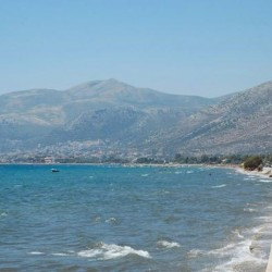 Marathon Beach