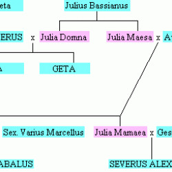 Family tree of the Severi