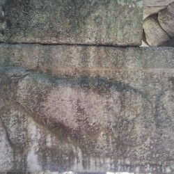 Buthrotum, Lion Gate, Archaic relief of a lion devouring a cow's head