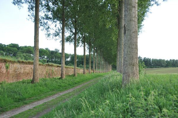 Tongeren's aqueduct: a dike (from left to right)