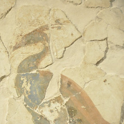 Tongeren, Wall painting of a peacock
