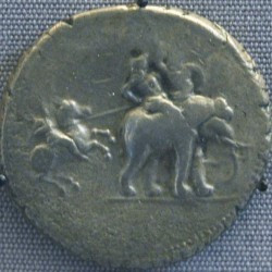 Macedonian cavalry attacking an Indian elephant
