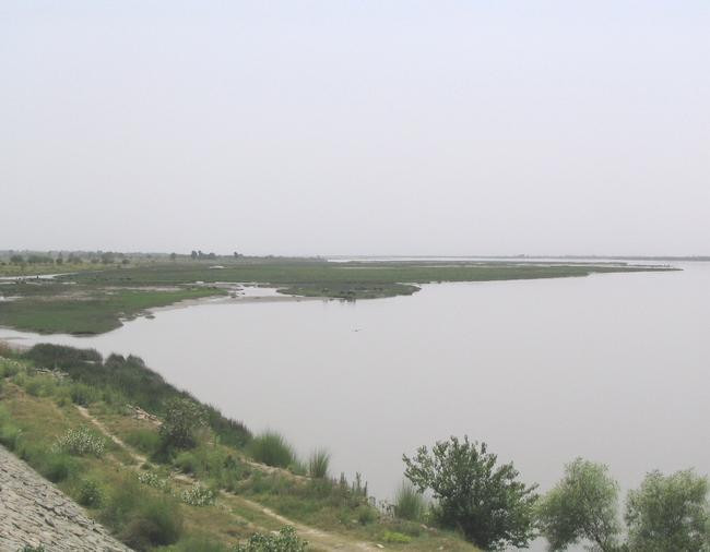 The river Jhelum
