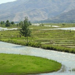 The Swat near Barikot
