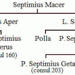 Family tree of the ancestors of Septimius Severus