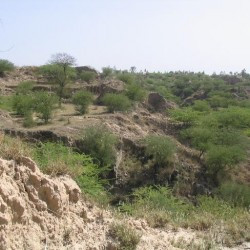 Landscape along the Grand Trunk Road, east of Islamabad