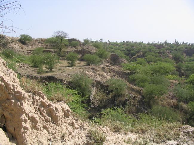 Landscape along the Grand Trunk Road, east of Islamabad