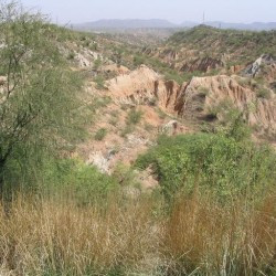 Landscape along the Grand Trunk Road, east of Islamabad
