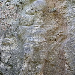 Guyum, Relief of king Bahram II