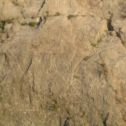 Petroglyphs